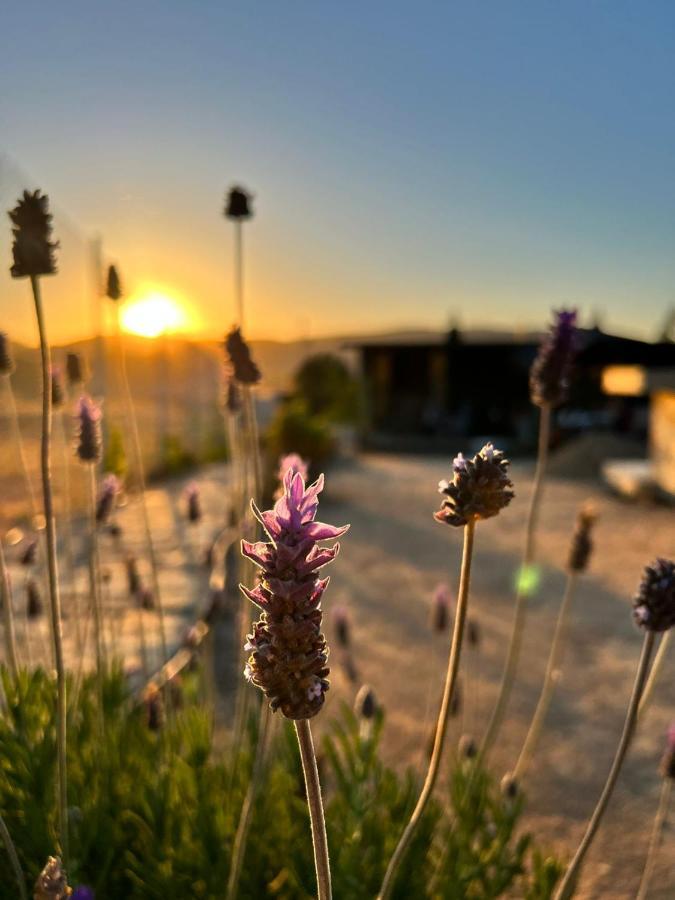 Finca Cazosa Valle de Guadalupe Εξωτερικό φωτογραφία