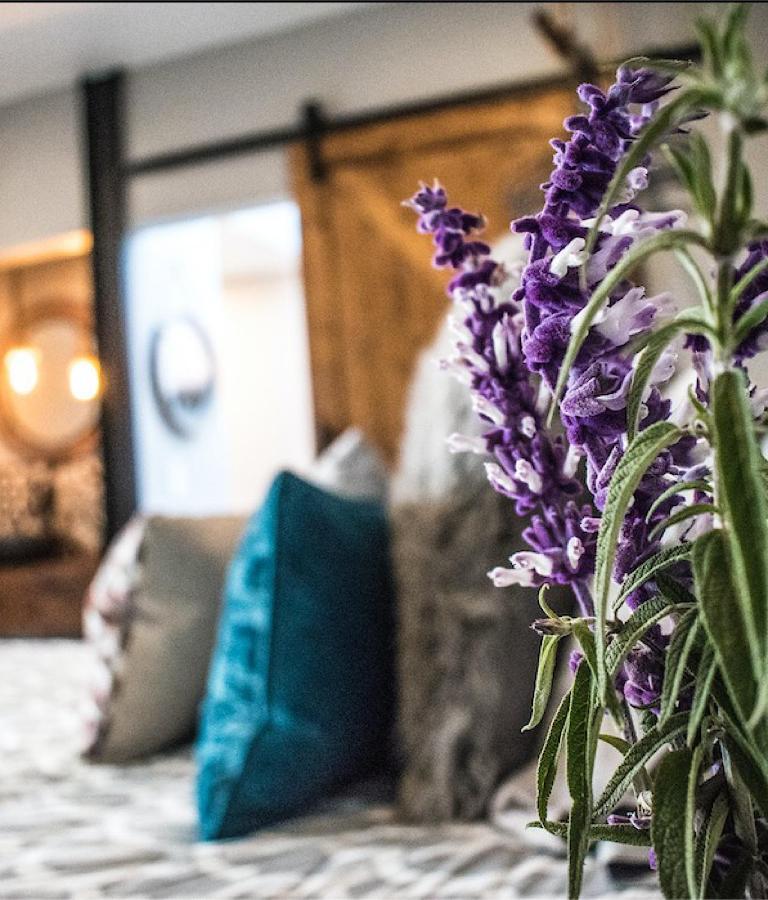 Finca Cazosa Valle de Guadalupe Εξωτερικό φωτογραφία