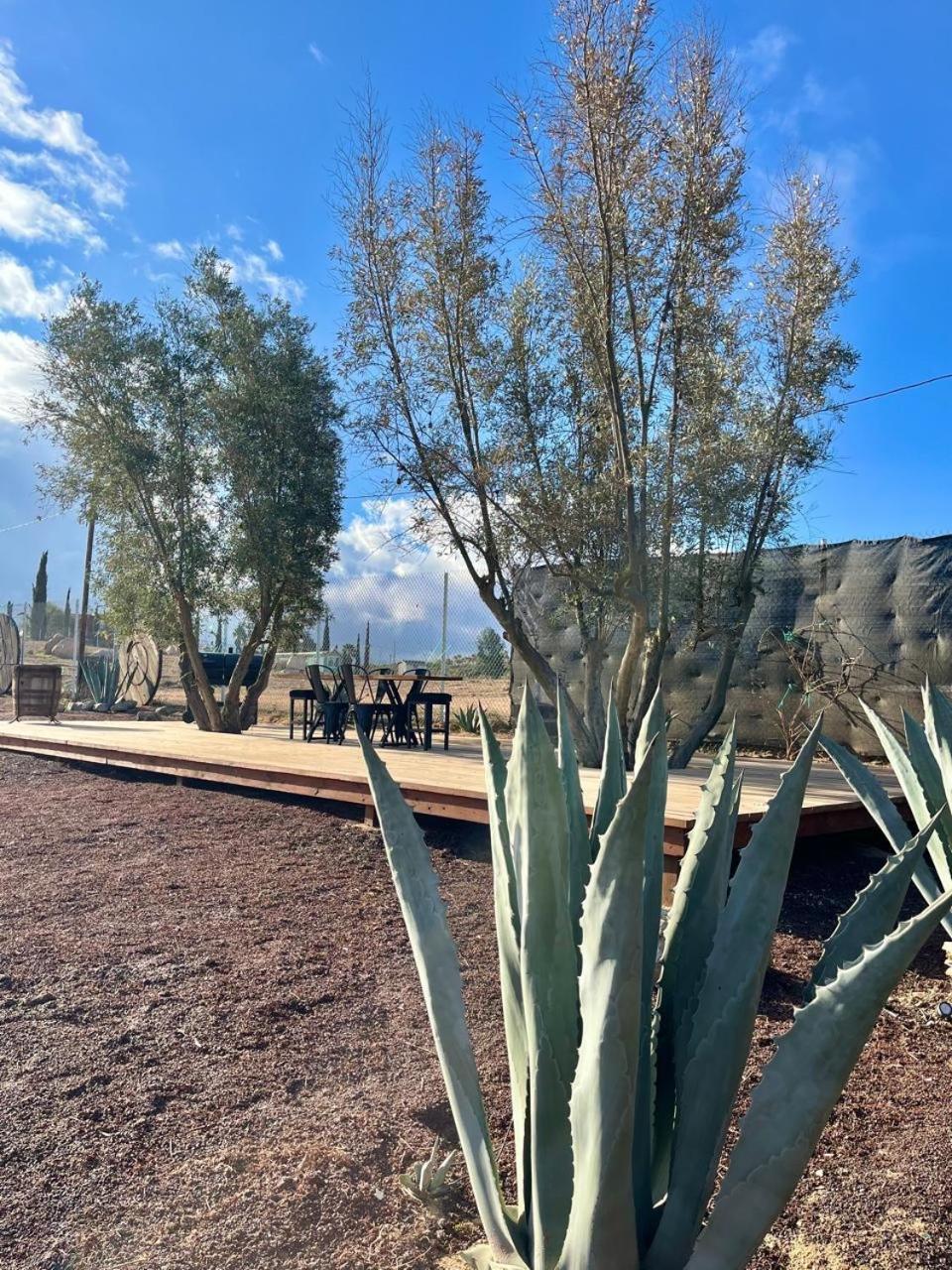 Finca Cazosa Valle de Guadalupe Εξωτερικό φωτογραφία
