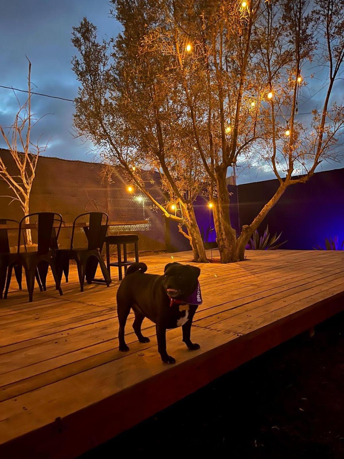 Finca Cazosa Valle de Guadalupe Εξωτερικό φωτογραφία