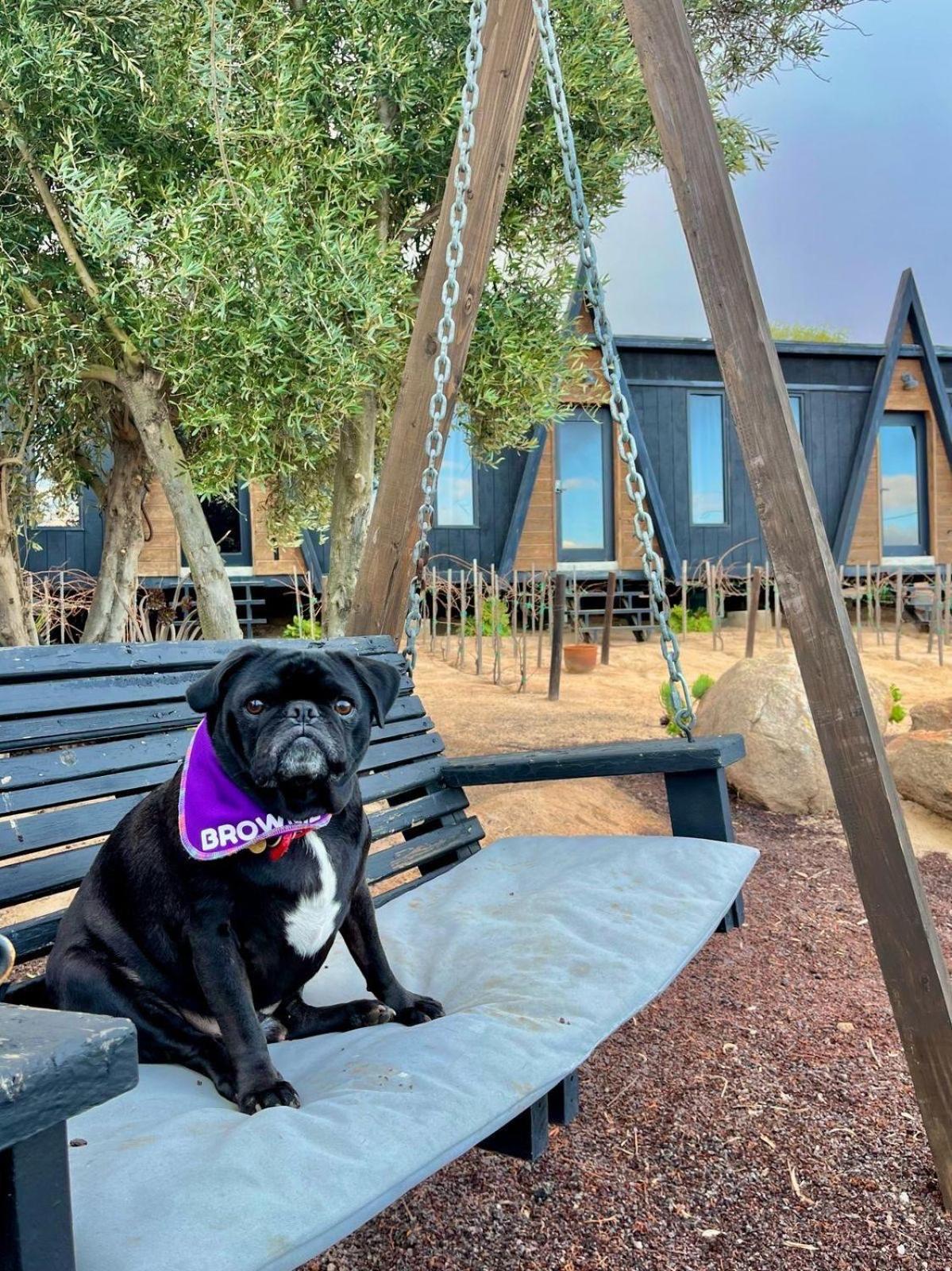 Finca Cazosa Valle de Guadalupe Εξωτερικό φωτογραφία